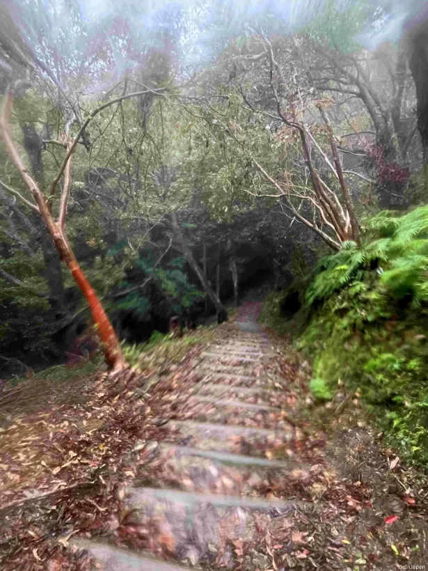 下著雨的燒山寺