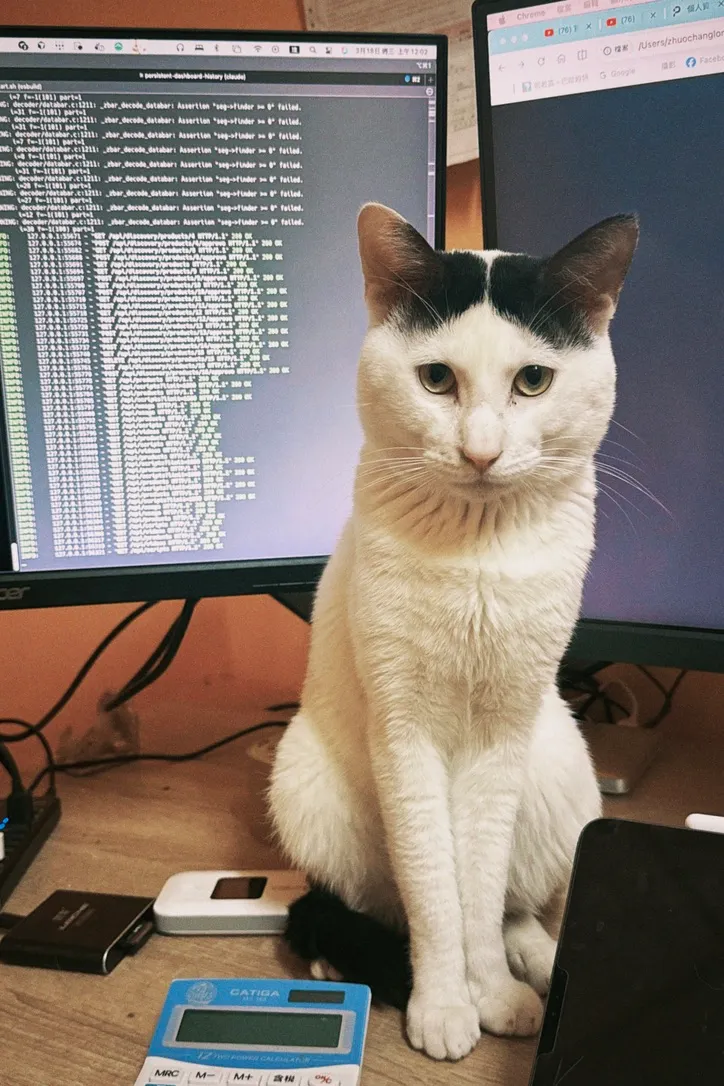 好的飼料才能養出肥美的小貓咪