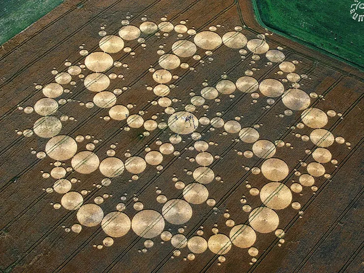 被譽為麥田圈之母的宏偉麥田圈