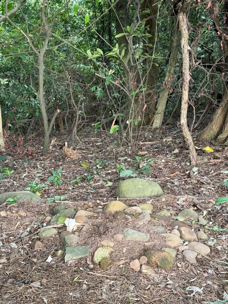 2026/04/11 遠處看圓圓睡覺的地方