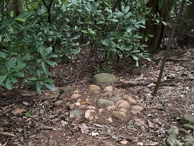 拍攝於2025/07/20 整體