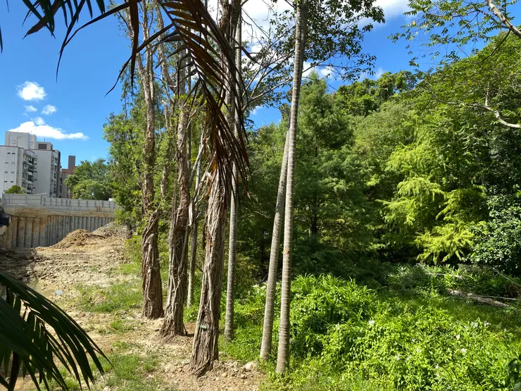 左側元利建設的開發用地上，昔日蔣公的草廬傳說大約就在此