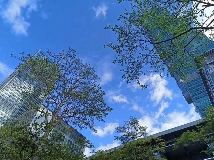 秋天的天空(作者拍攝)