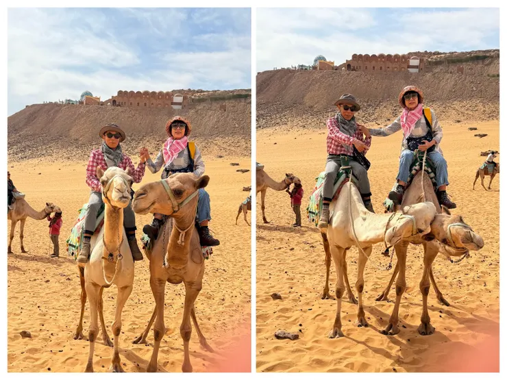 駱駝的互動很有戲