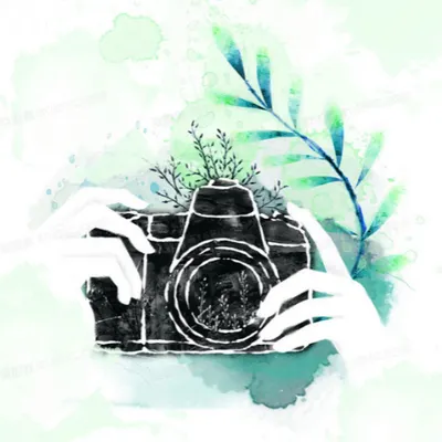 跑者女孩Shark的沙龍