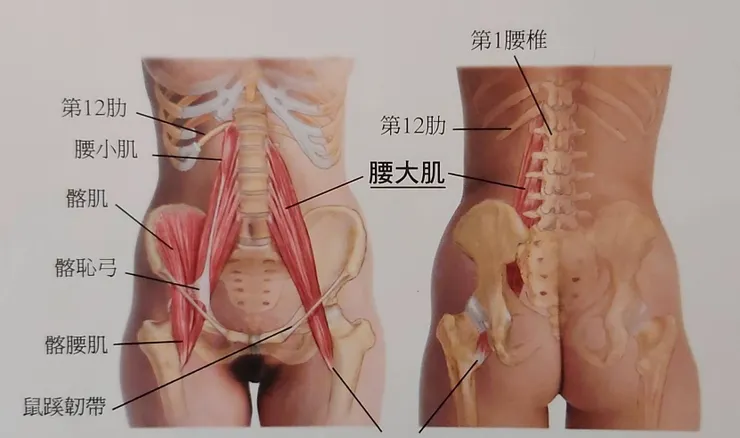圖片來源--易利圖書