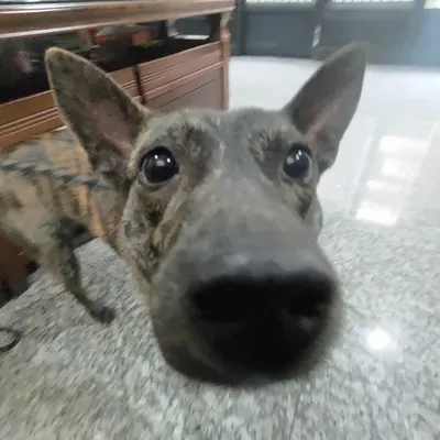 小威輔導老師的沙龍