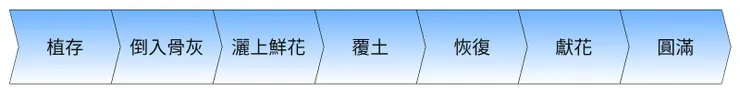 三芝櫻花生命園區的樹葬執行流程圖，包含植存與覆土