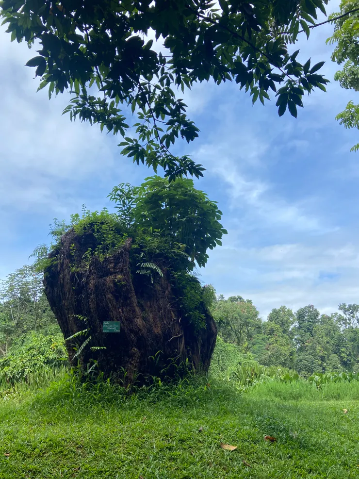 老荔枝前輩，讓人印象超深刻。