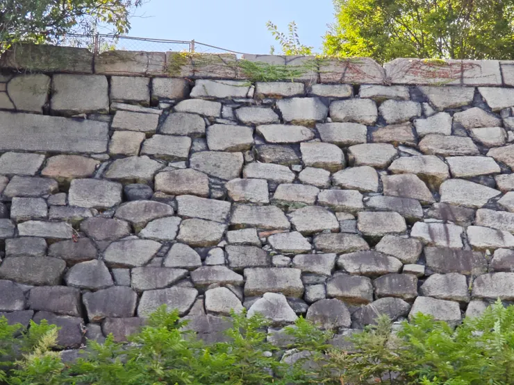 它正在高處,用深情的眉毛望著你~