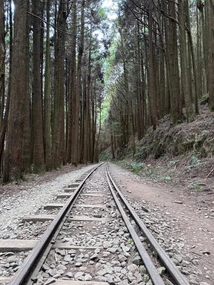 開始進入往美拍照打卡聖地