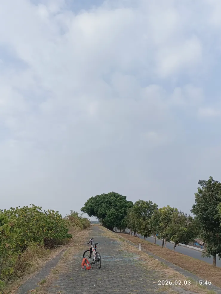 風不定單騎景流