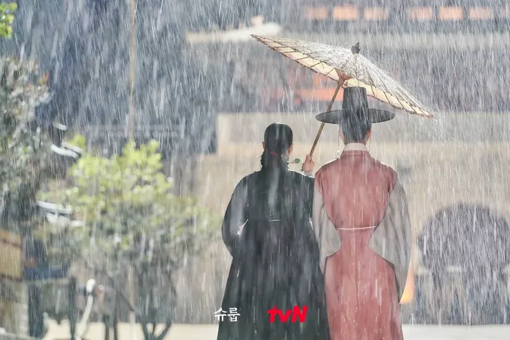（tvN｜王后傘下）