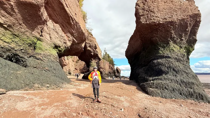 好像長滿毛髮的妖怪大腳