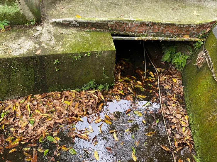 萬盛溪北支流的露出起點