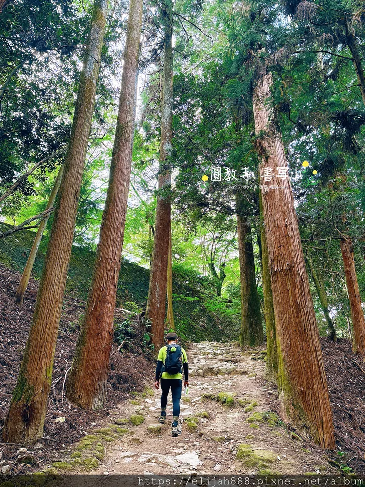 【2025初秋.兵庫県姫路市健行】書写山.海拔371公尺/圓