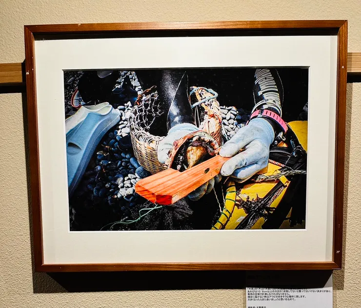 長廊上的介紹海女相片之一。