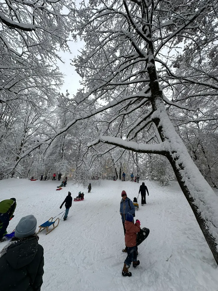 雪地是兒童的天堂