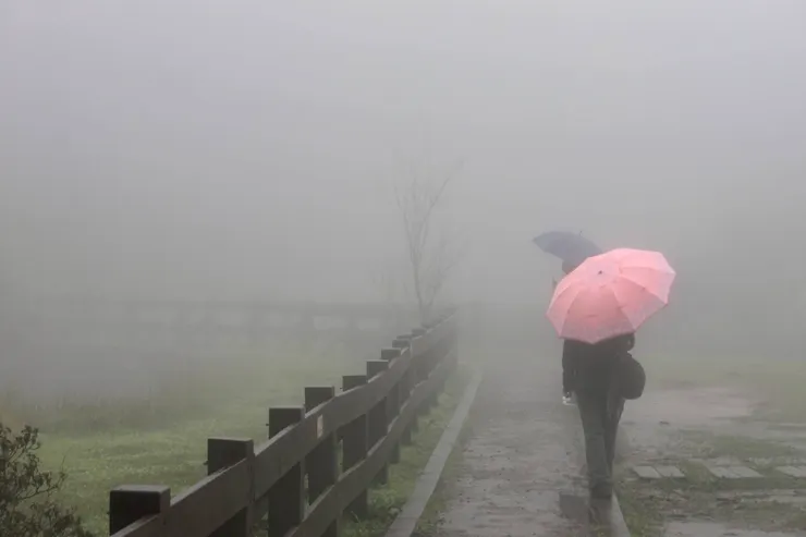 細雨紛飛，有人走在霧裡，也有人，走進自己。