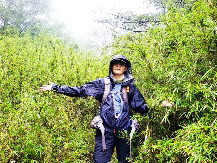 ▲一路都被箭竹打臉中