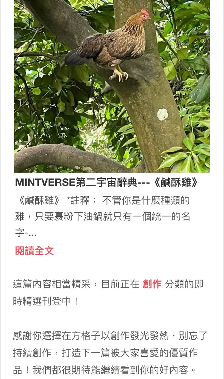 vocus｜新世代的創作平台