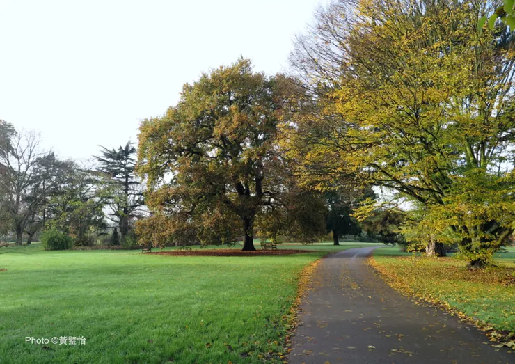 淡季的園區，主角就是樹和草。