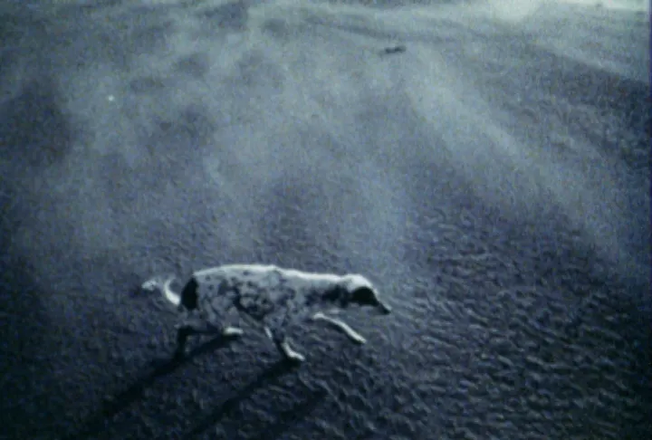 《逃亡》（Escape，1994）電影劇照／甜蜜生活製作有限公司 提供，存放於國家電影及視聽文化中心