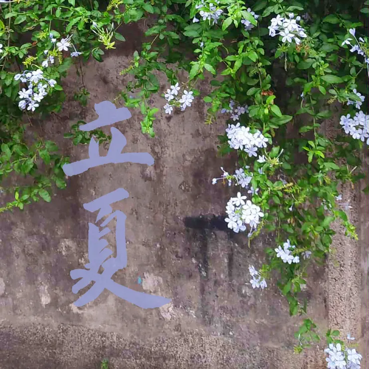 【節氣：立夏】