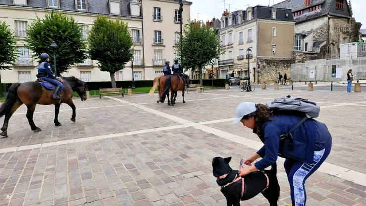 【空寂中忽傳來騎警馬蹄得得響!怡青趕忙抓緊阿肥,這時候如果狂吠或衝出去可不是鬧著玩兒的,雖然牠訓練有素,機率不大,還是謹慎些好。】