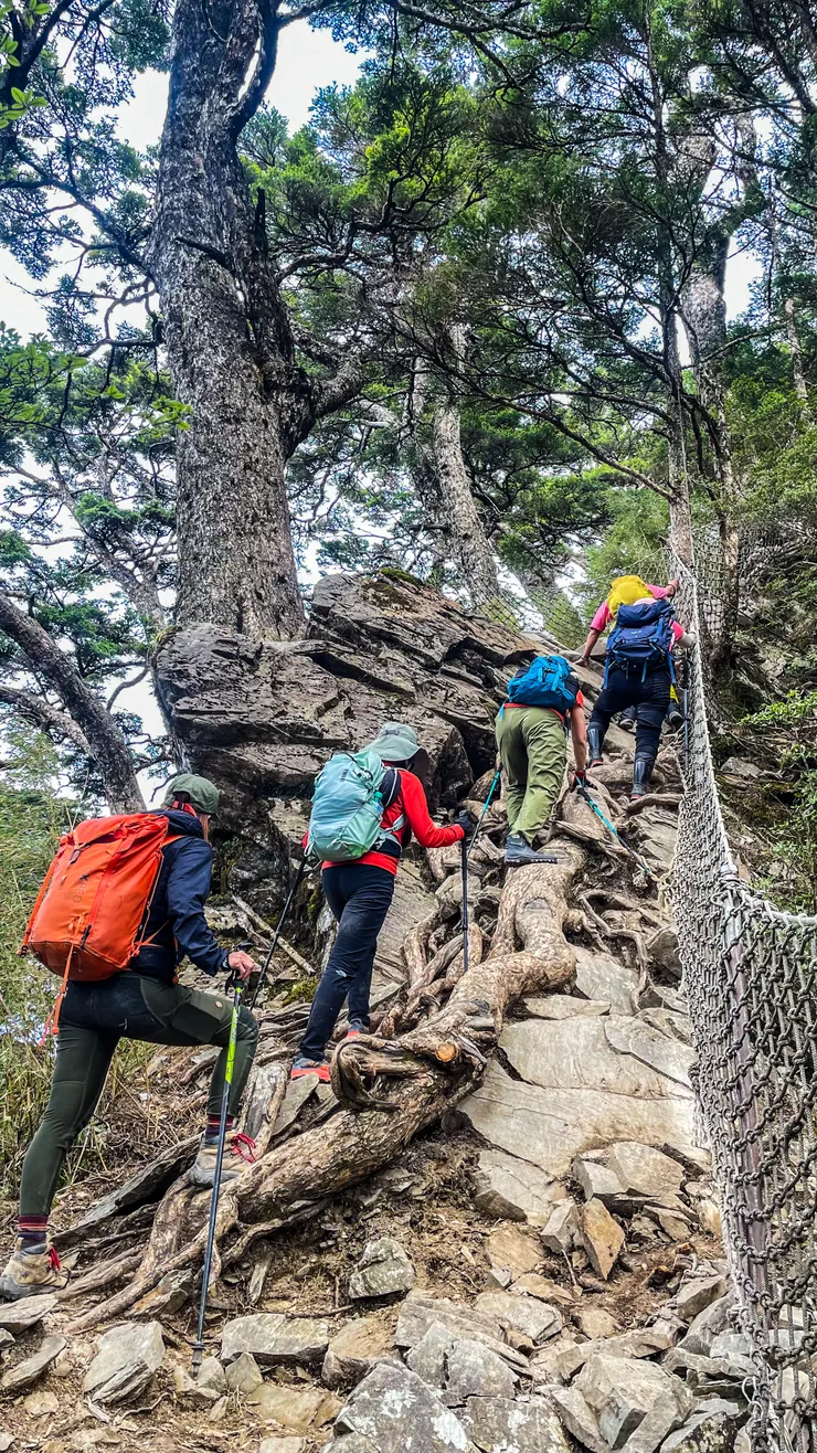 塔關山防護及路徑維護得不錯。