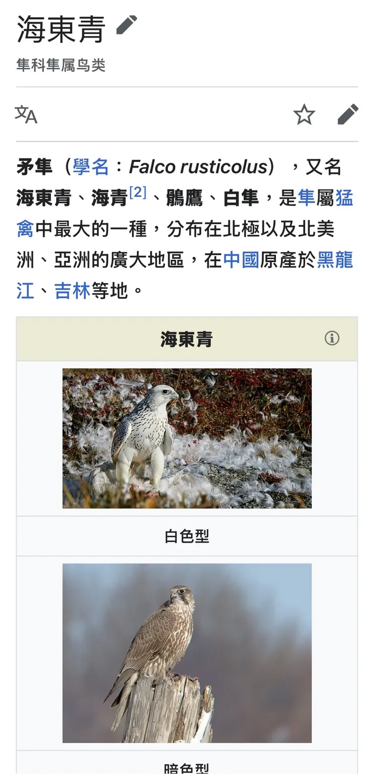 來自維基百科的消息