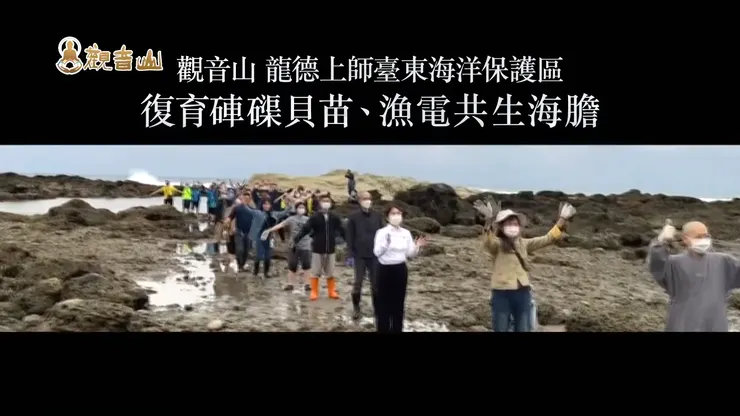 觀音山 龍德上師臺東海洋保護區復育硨磲貝苗、漁電共生海膽✦觀音山 愛護海洋‧保育放流