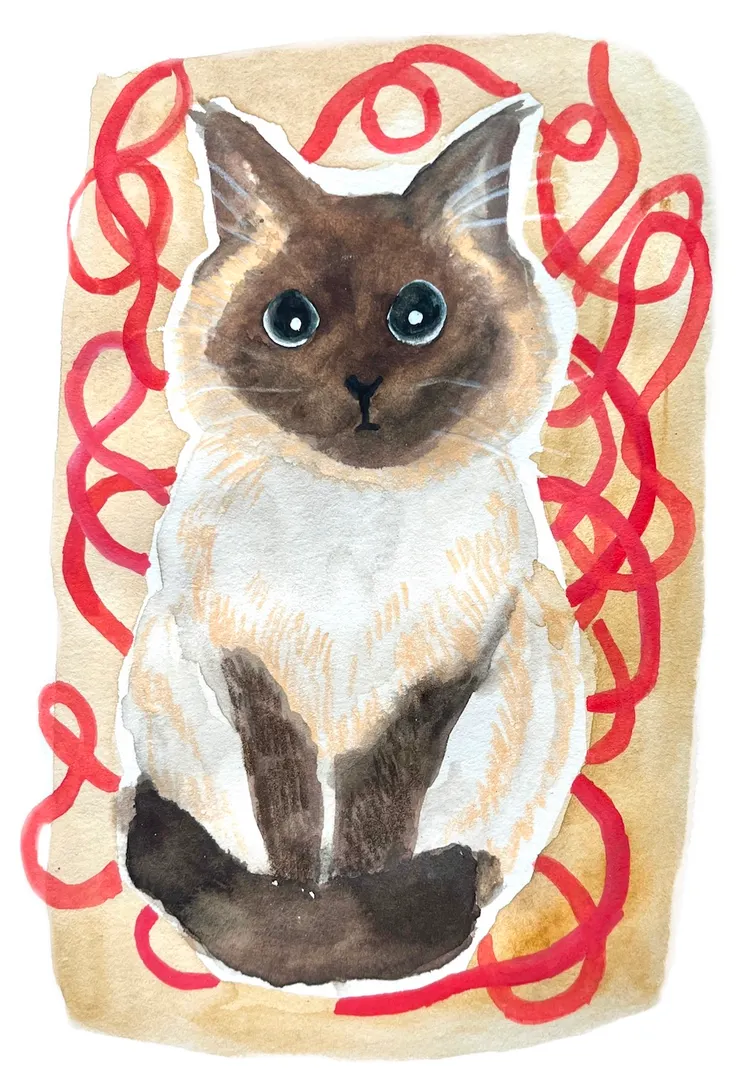 Mimi三十年前跟著從香港移民至加拿大，她是唯一走進全家內心的家庭成員。