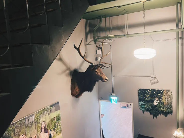 推薦大家來到伊日藝術計劃