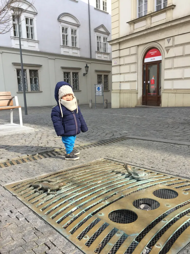 包心菜市場旁的水溝蓋也有小巧思，每一個上頭都有不同的小動物