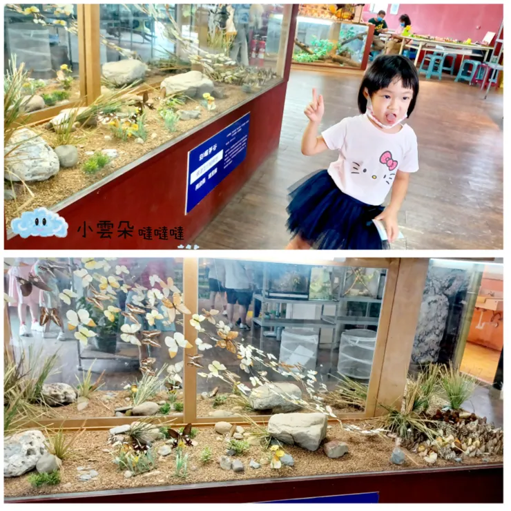 環境標本展示櫥窗