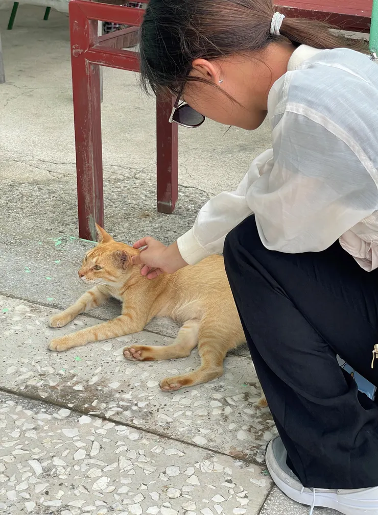 毛小孩就如家人般的存在