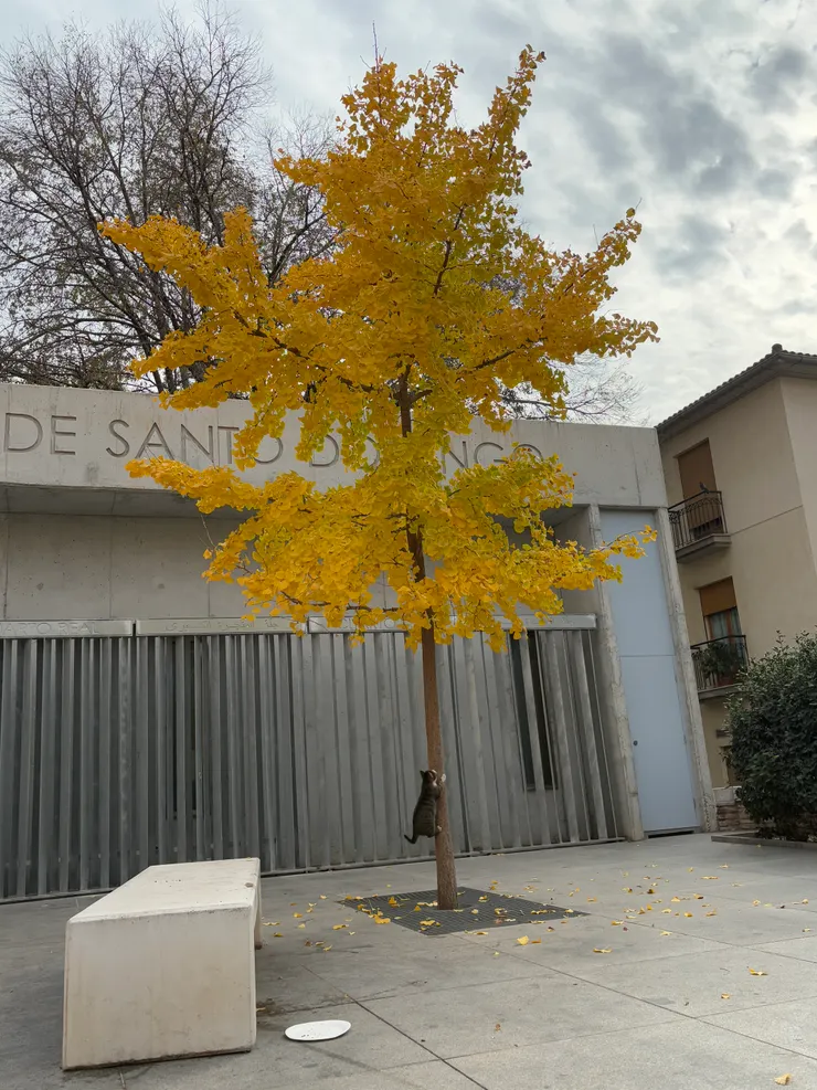 正在悠閒爬樹磨爪的貓