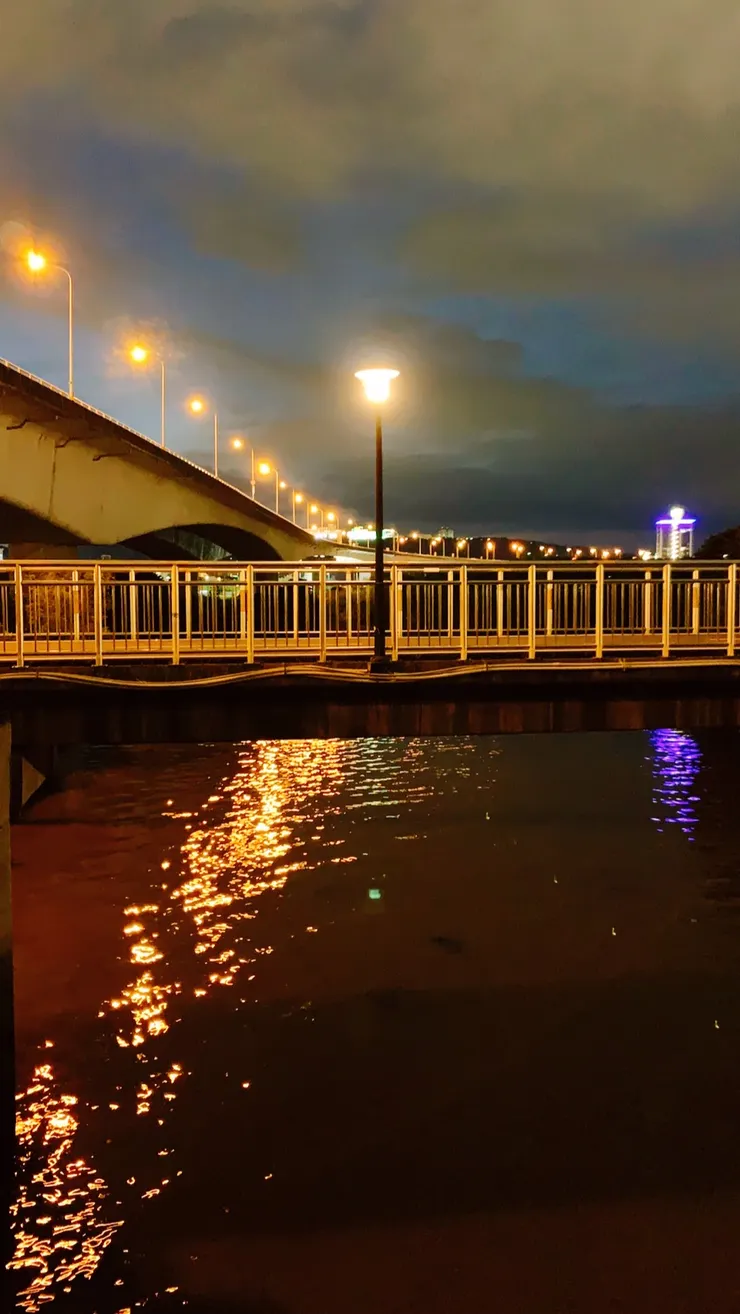 水裡藏了個印象派畫家3