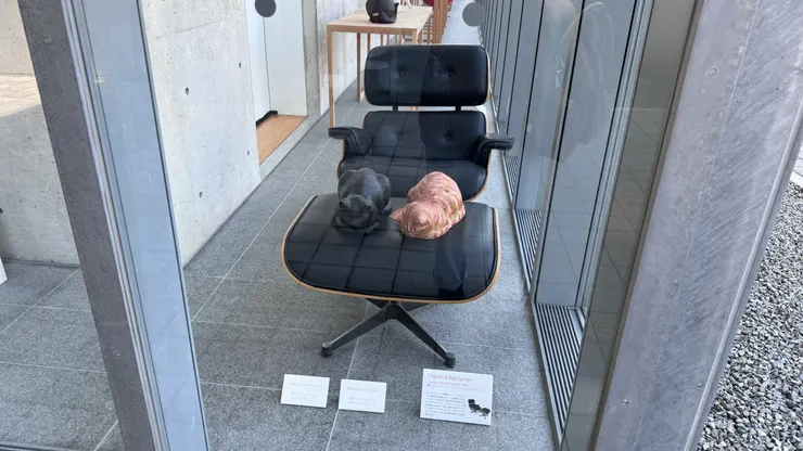 館內不能拍照，只能附上館外展示的主張。