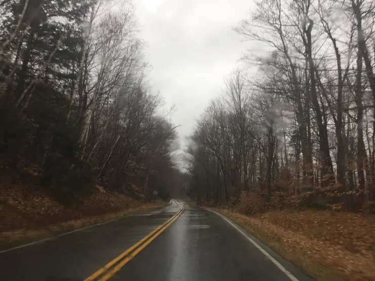 空氣中彌漫著一種濕潤的清新味道