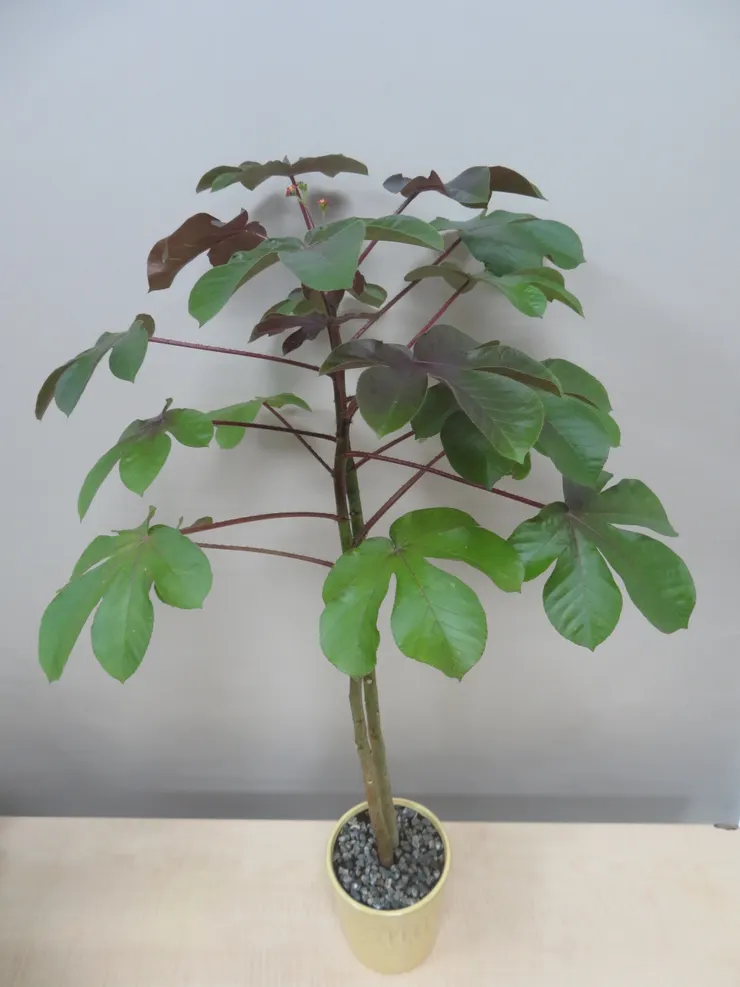 新莊農會112.09.25