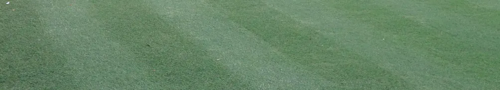 yidai zhongshi ye的沙龍