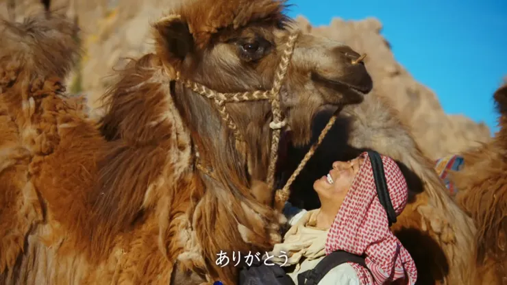 駱駝不僅是「工具」，更是人類在沙漠中生死相依的夥伴
