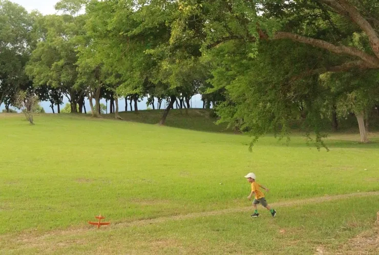 這個畫面很可愛