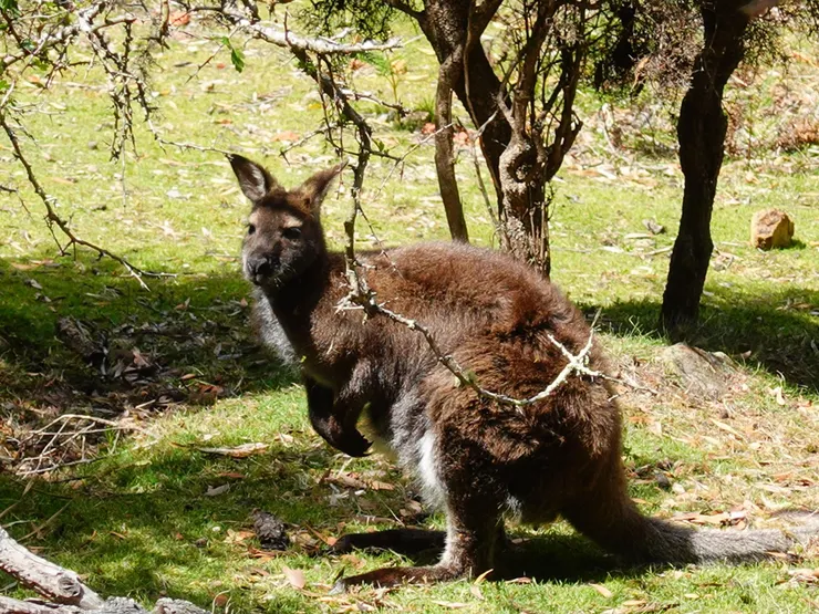 哈囉!!今天有東方人喔!!