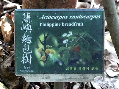 src