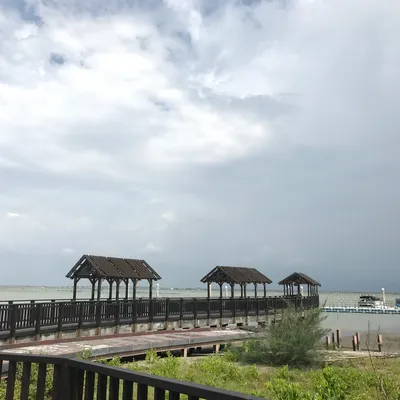 慵懶生活的擁護者的沙龍