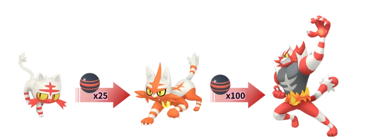 火斑喵社群日_火斑喵進化表