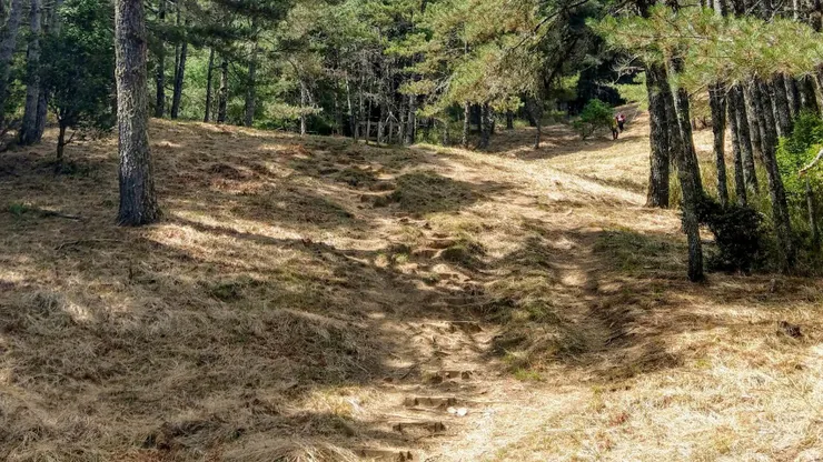 無線列車之無限Ｚ字形下坡